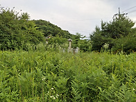 2026년 금초1