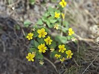 청도 운문산.아랫..