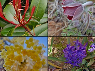 2026년 3월 강진탐방 이벤..