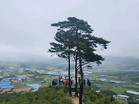 [국내숲탐방보고] 171차 ..