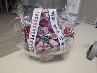 박서윤 동생 생기다,