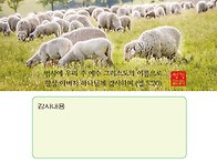 감사헌금