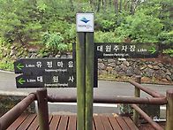 처음처럼 정기산행