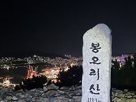 용호동 야산