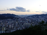 26/5/28 황령산 야산