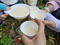 가평 잣향기 푸른숲~*^-..