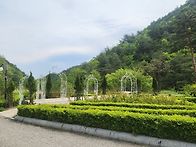 솔향수목원(1)