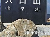 3월 정기산행 혈구산 (시..