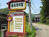 숲속의 아침
