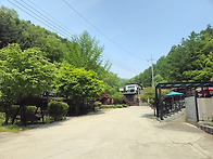 숲속의 아침