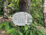2025년 5월 25일(일) 광..