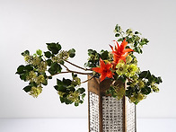 일본을 놀라게한 ..