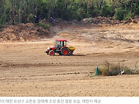 성심당, 분점과 대형카페 ..