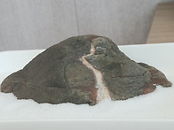 귀하고 귀하신 세종 폭포석