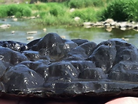 내 이랄줄 알았다 [미원]