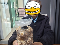 사랑 가득 마음 치유 프로..