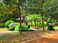 2026 강원도 화천군 붕어..