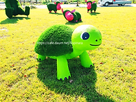 거북이 3종