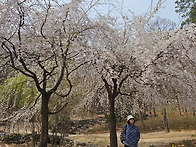 4월3일 (금) 북서울꿈의숲