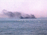 4월은 잔인하다고 누가 그..