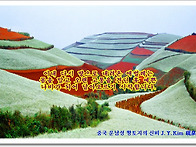 채워지지 않는 그..