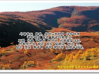 왜 이 건물은 'X..