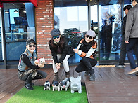 홍천 화로구이 투어(202..