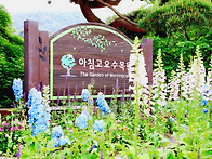 5/23일 가평 아침 고요수목..