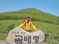 김정호회원님=곰배령