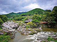26년8월9일=함양 선비길=..