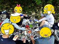 정선 옥빛 덕산기계곡 정기..