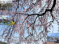 김천 오봉저수지 둘레길-..