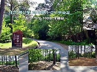 대전 계산동 리기테다 소나..