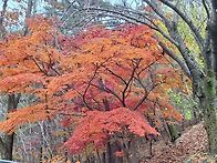 대구 앞산(구 : 성불산)