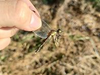 2025년 마지막 잠..