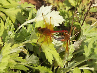 2025년 마지막 출..