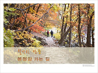 (2023.10.18) 설악산(백..