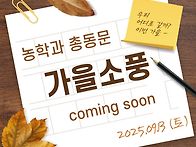 2025년 9월 13..