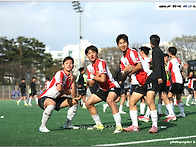 [생생화보] 2026 제43회..