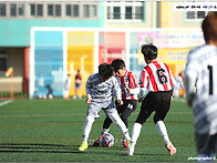 [생생화보] 2026 제주/서..