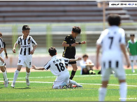 [생생화보] 2026 제43회..