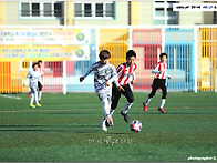 [생생화보] 2026 제주/서..