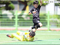 [생생화보] 2026 전국 초..