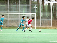 [생생화보] 2026 제43회..