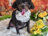 땅콩아 고마워 ^^