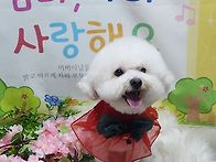 효동이 어버이날 포토존
