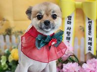 우리 은주 사진이 넘 이쁘..