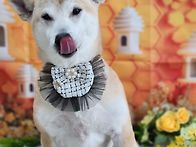 우리호두 고마워