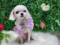 콩아 이모 너 덕분에 기분..