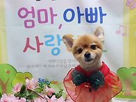 첫만남 사랑이 ^^